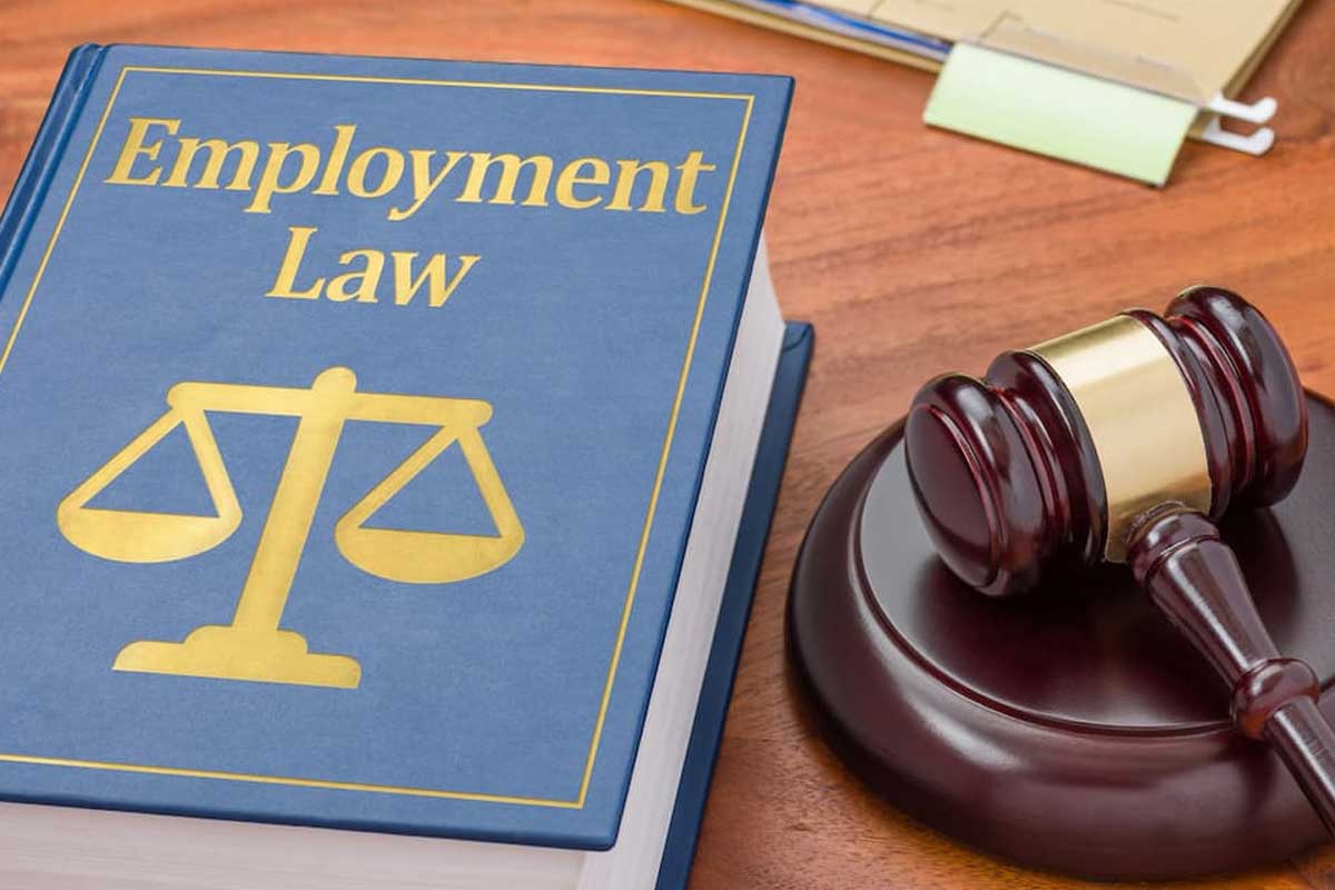 Minnesota Employment Law Attorney